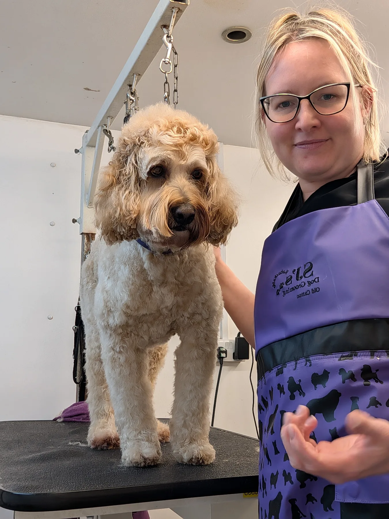Sarah standing beside a freshly groomed cockapoo on the grooming table